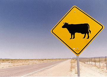 T2：从游戏提供的内容量看 当前游戏实在太便宜了